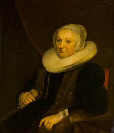 Portrait of a Lady by Jacob van Loo